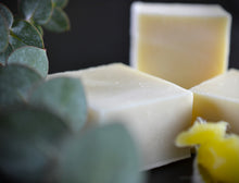 Load image into Gallery viewer, Lanolin-infused Lavender Eucalyptus Wool and Body Wash Soap | Coconut-Free