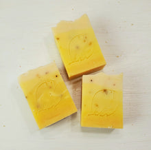 Load image into Gallery viewer, ROSEMARY TURMERIC Shampoo | Coconut-Free | Vegan