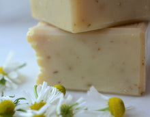 Load image into Gallery viewer, NEEM + HORSETAIL HERBS Shampoo Bar | Vegan