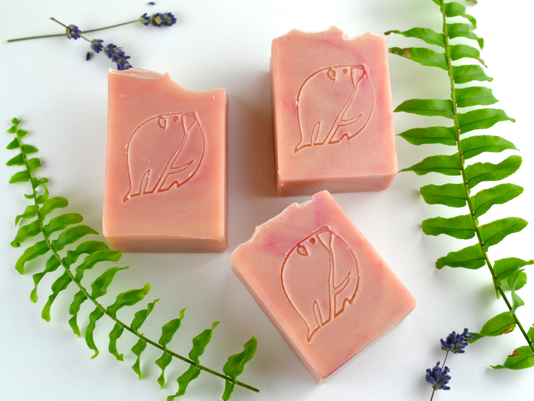 Redwood & Goatmilk Body Soap | Coconut-Free