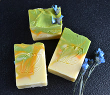 Load image into Gallery viewer, North Rim Juniper body soap | Coconut-Free | Vegan
