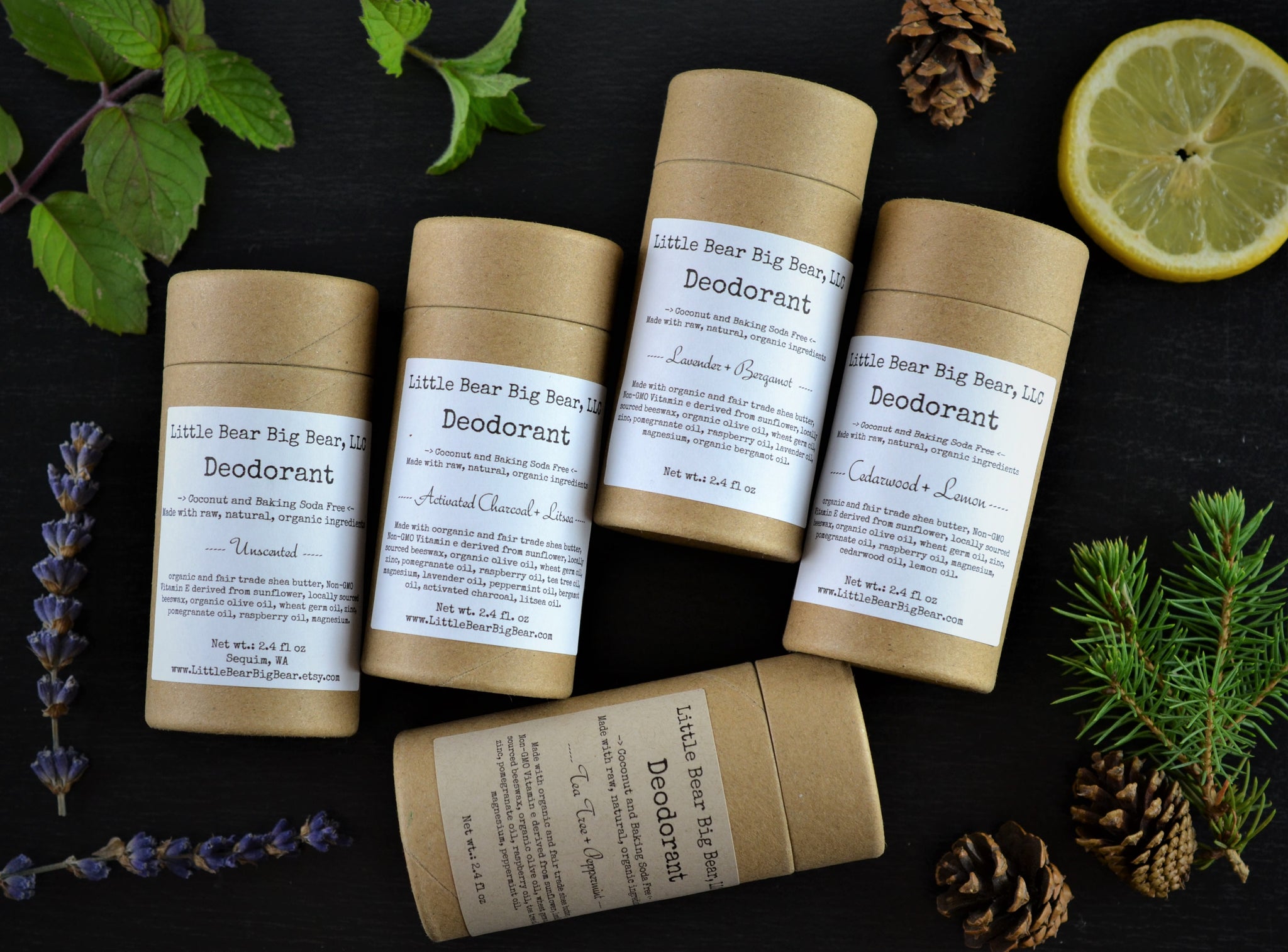 Tea Tree Peppermint Natural Deodorants in Paper Tube | Coconut-Free –  Little Bear Big Bear, LLC