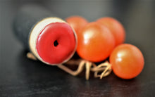 Load image into Gallery viewer, Cherry Tomato Hydrating Lip Cheek Tint | Coconut-Free
