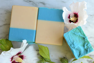 Bermuda Breeze Body Soap | Goat's Milk | Coconut-Free