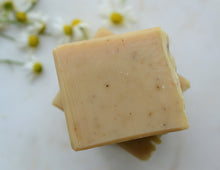 Load image into Gallery viewer, NEEM + HORSETAIL HERBS Shampoo Bar || For all hair types and good for thinning hair
